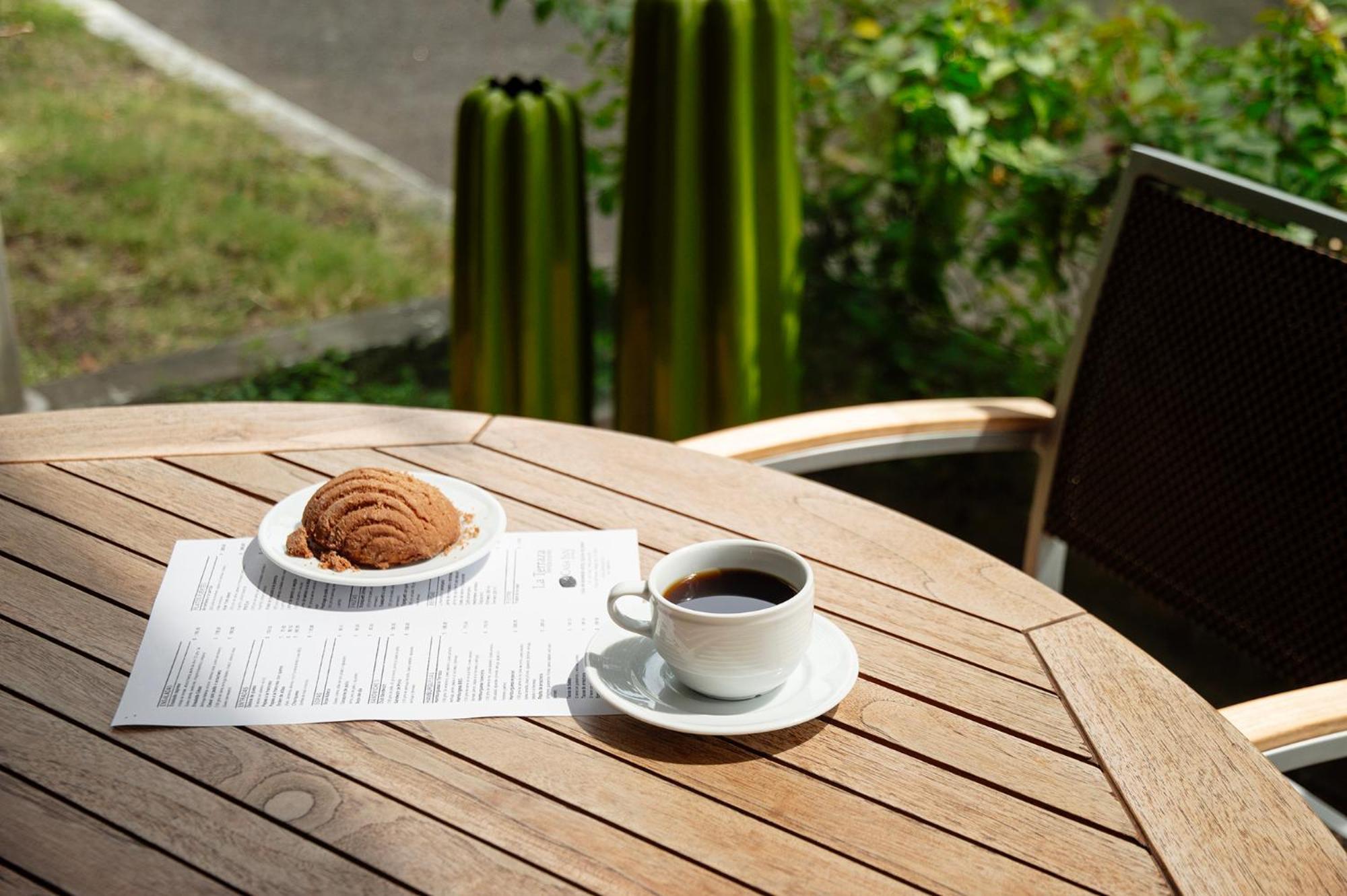 Casa Inn Business Hotel Celaya Экстерьер фото